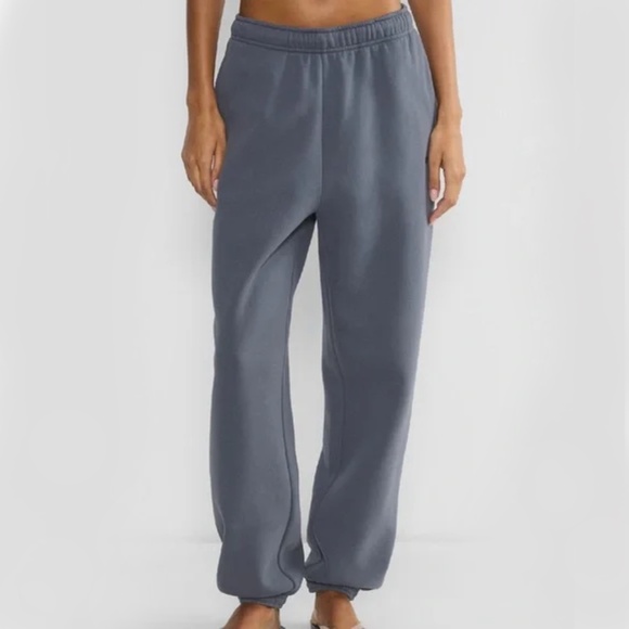 Aritzia - Cozy Sweatfleece Blue Oversized Drawcord Pull-On Mega Jogger - Medium - Picture 1 of 1
